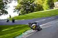 cadwell-no-limits-trackday;cadwell-park;cadwell-park-photographs;cadwell-trackday-photographs;enduro-digital-images;event-digital-images;eventdigitalimages;no-limits-trackdays;peter-wileman-photography;racing-digital-images;trackday-digital-images;trackday-photos